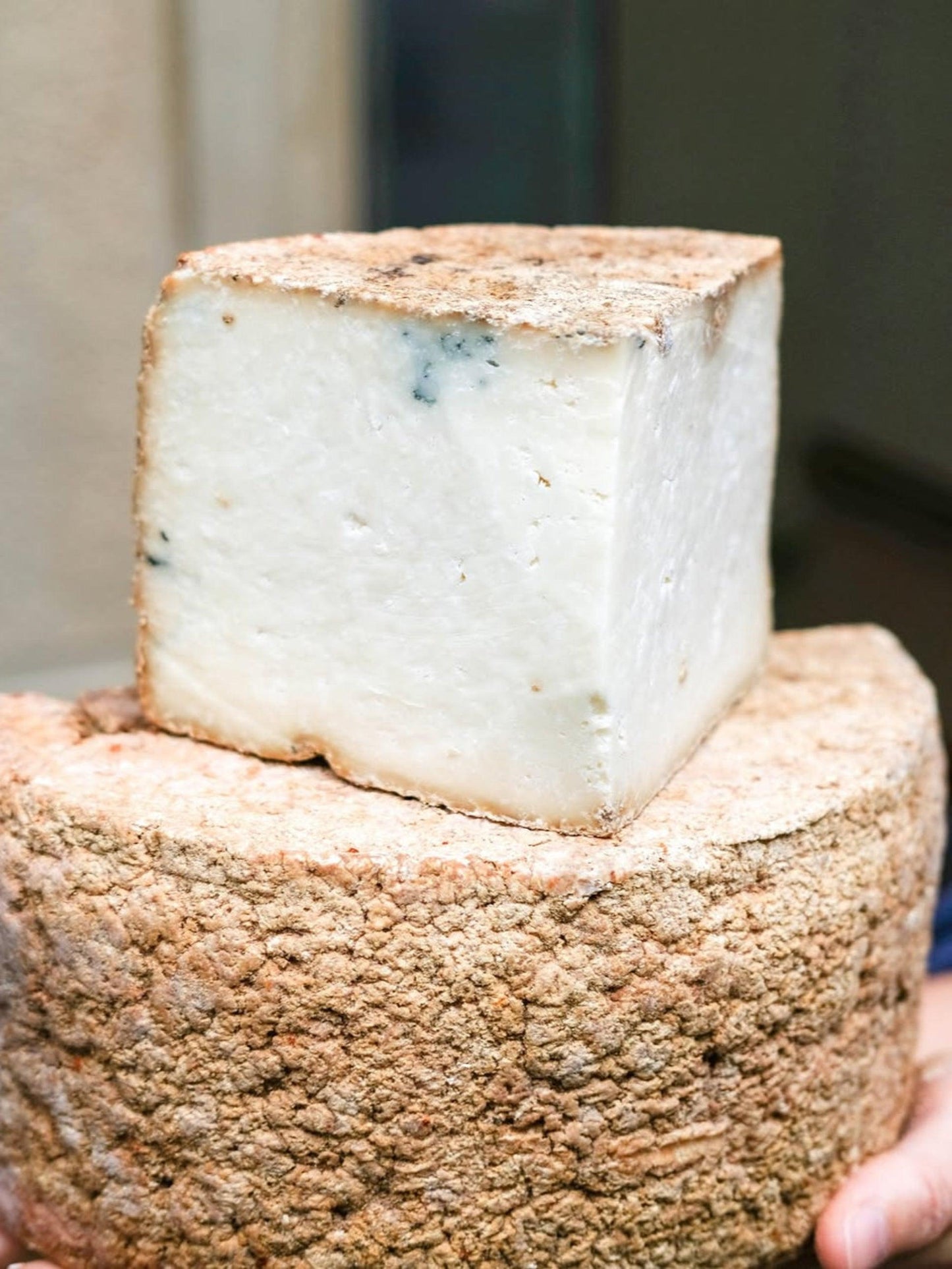 Queso artesano Gamoneu de Asturias