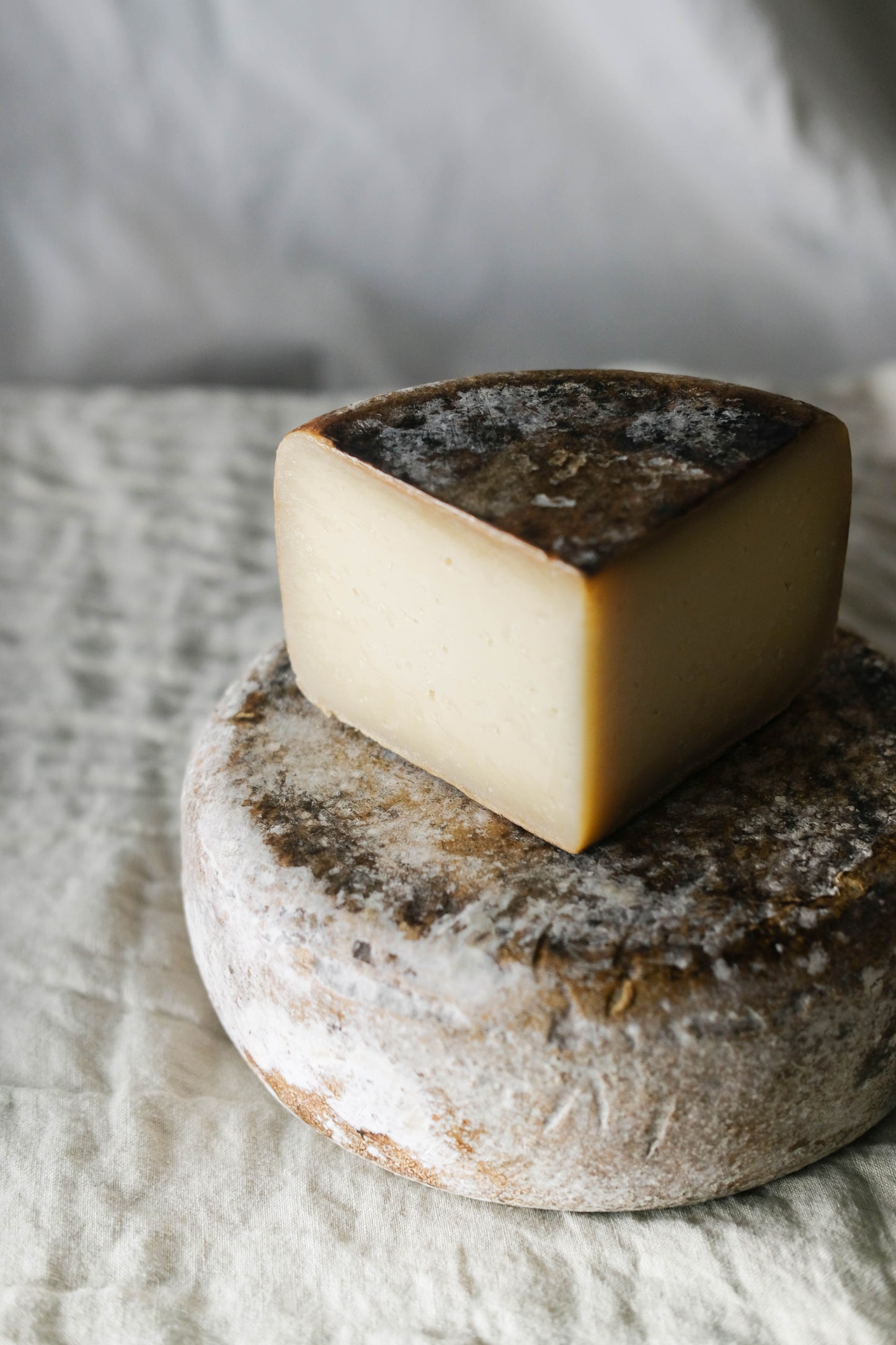 otxokain queso cabra osakain navarra oveja 2