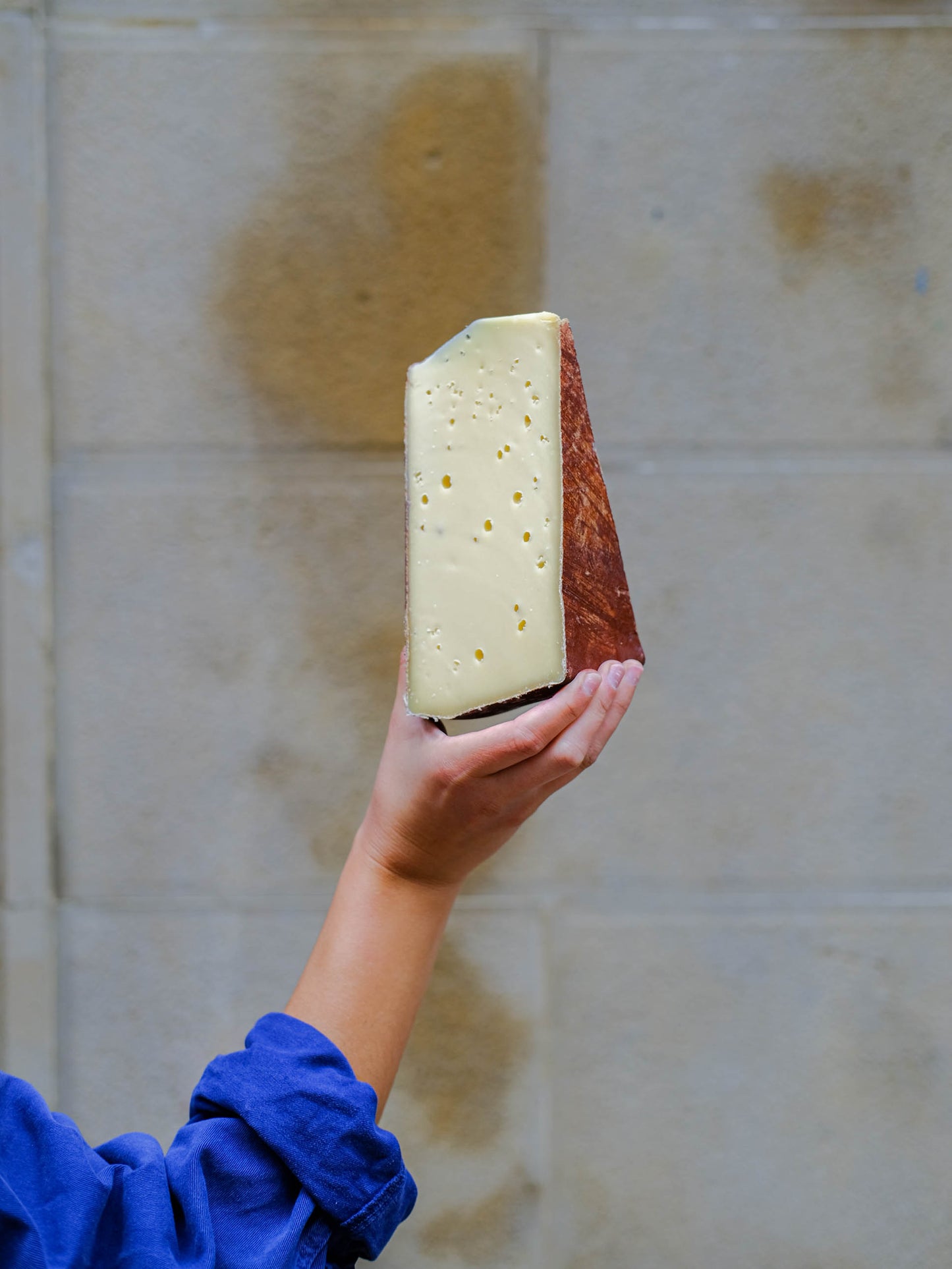 Alex Cheese