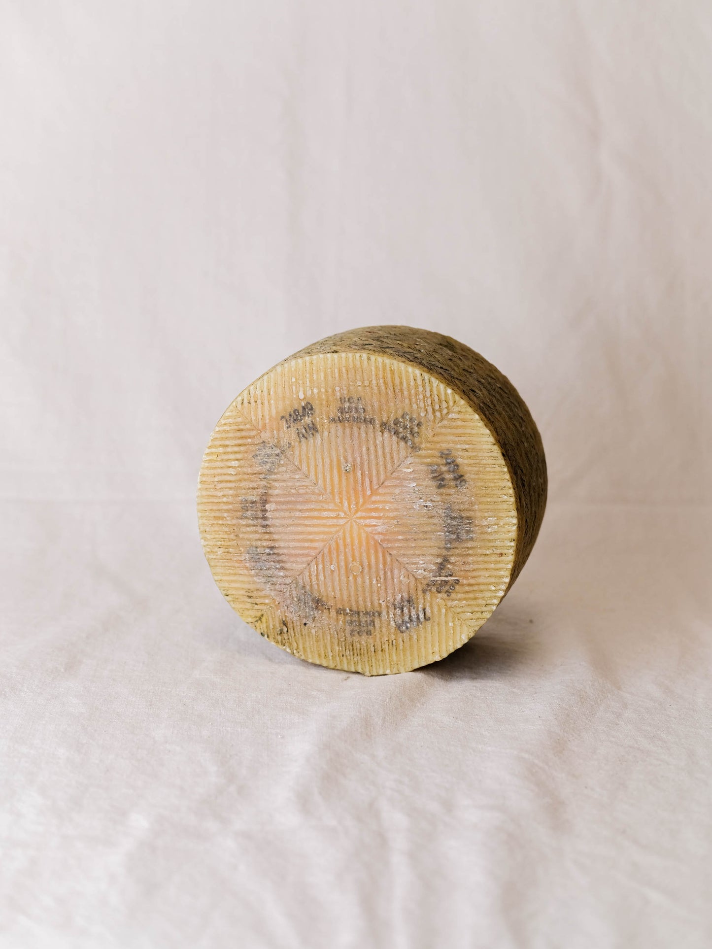 Manchego Malacara D.O.P.