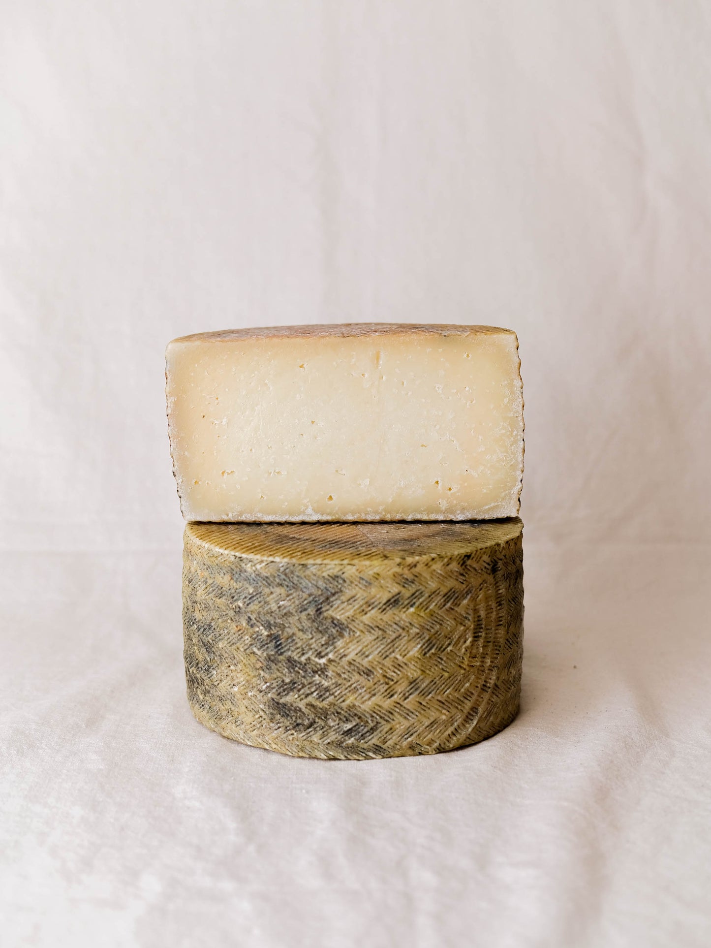 Manchego Malacara D.O.P.