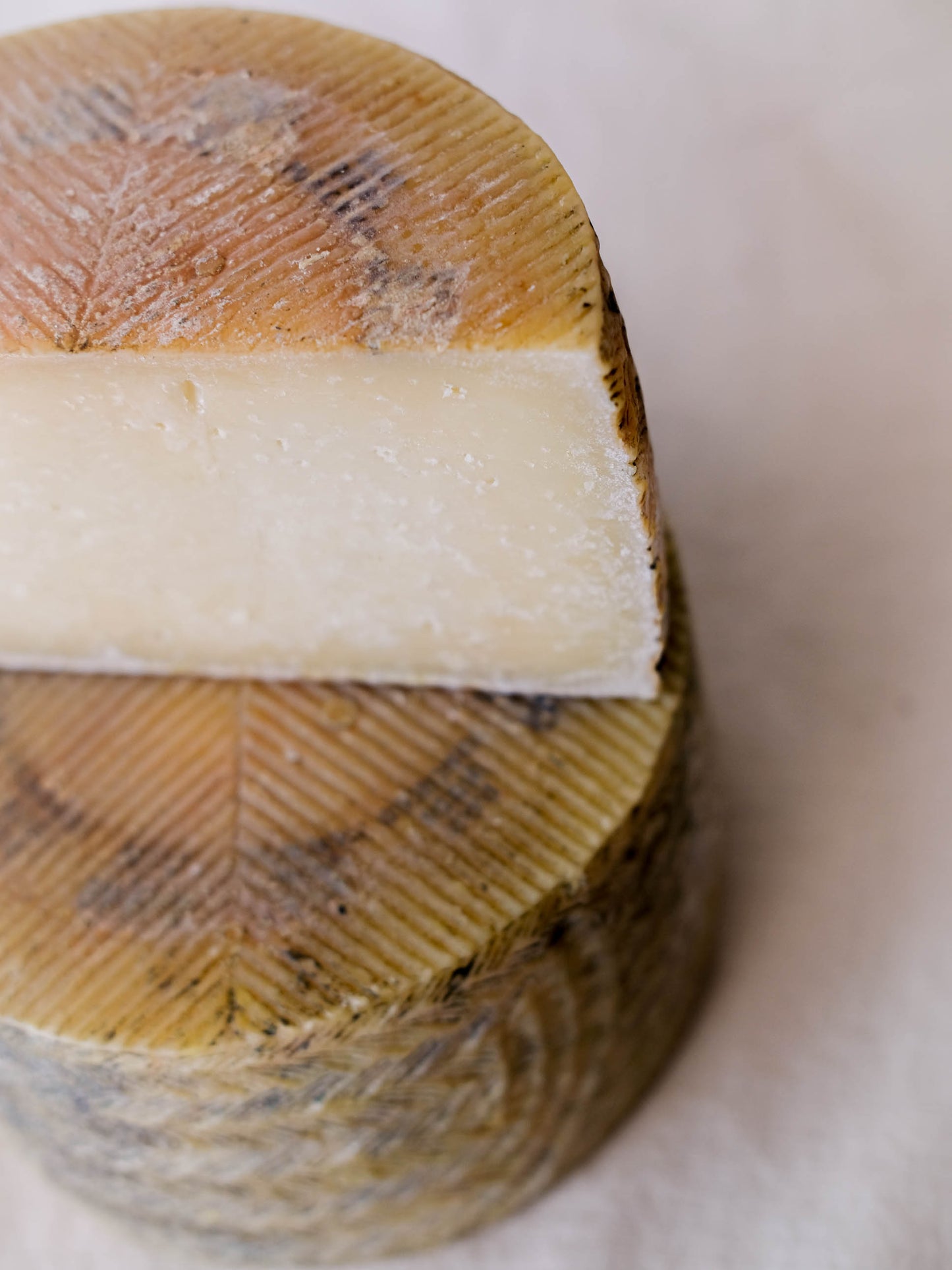 Malacara Manchego D.O.P.