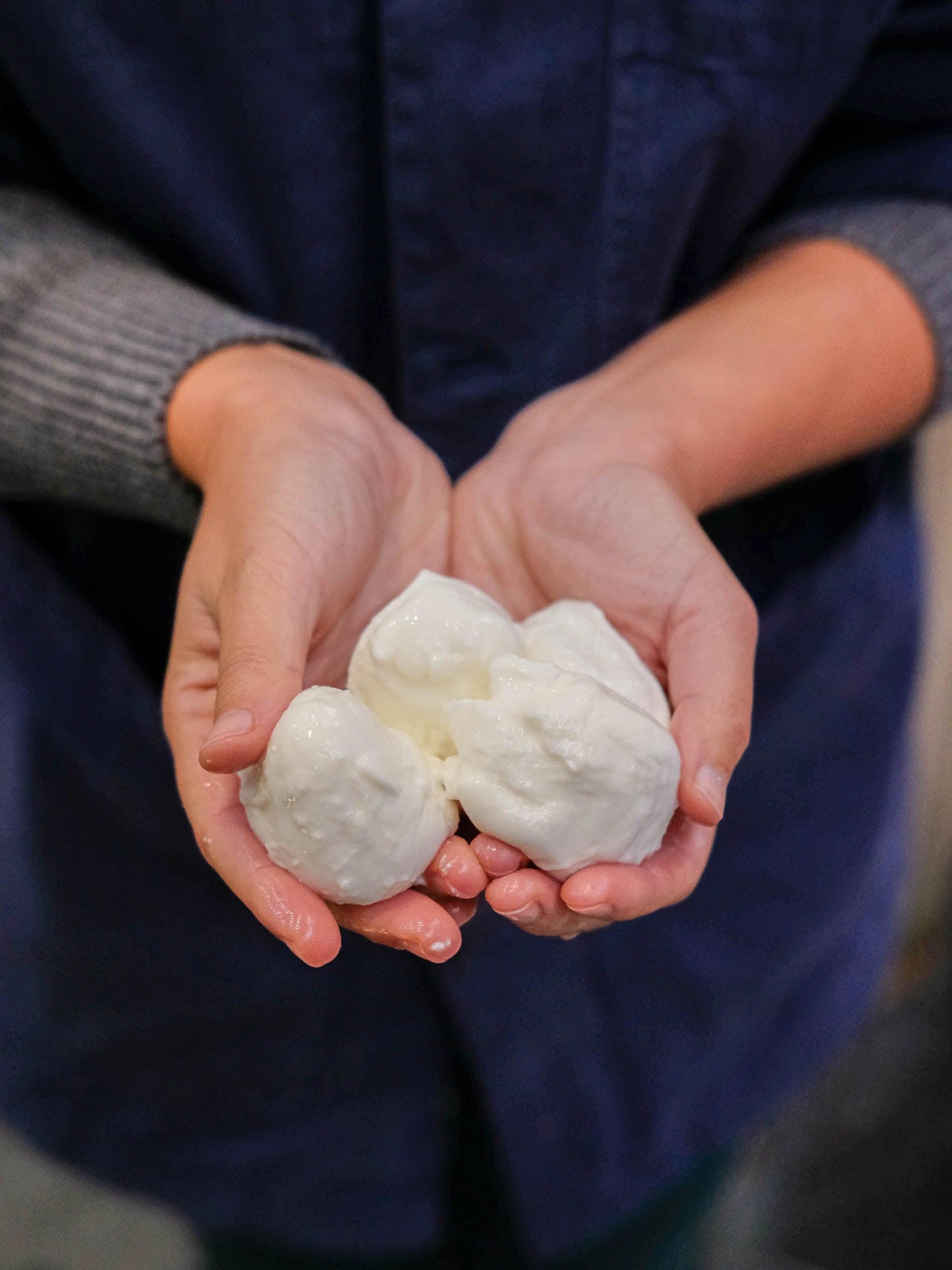 Mozzarella Di Bufala Campana DOP