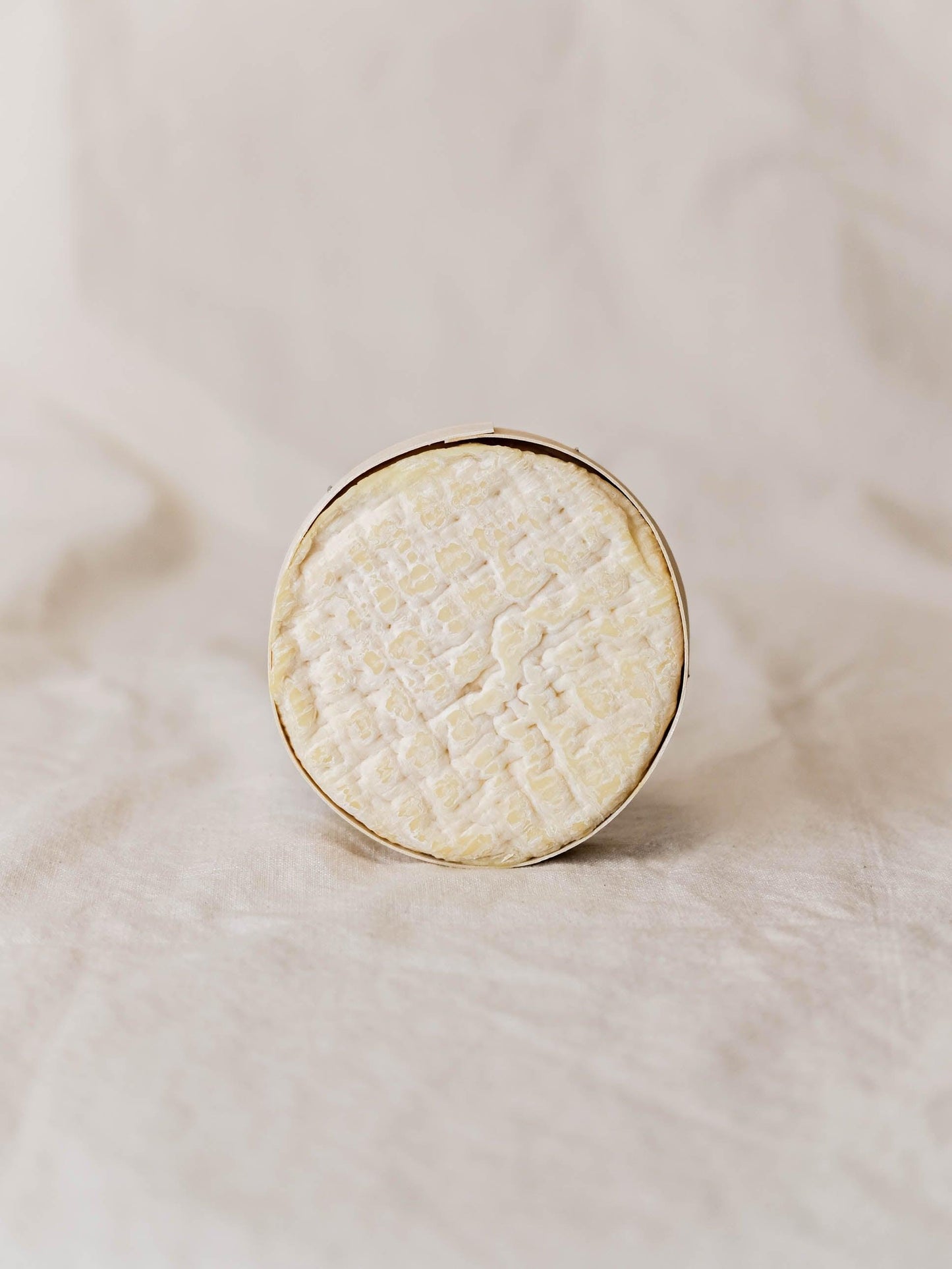 Queso artesano Ondare de oveja latxa cremoso