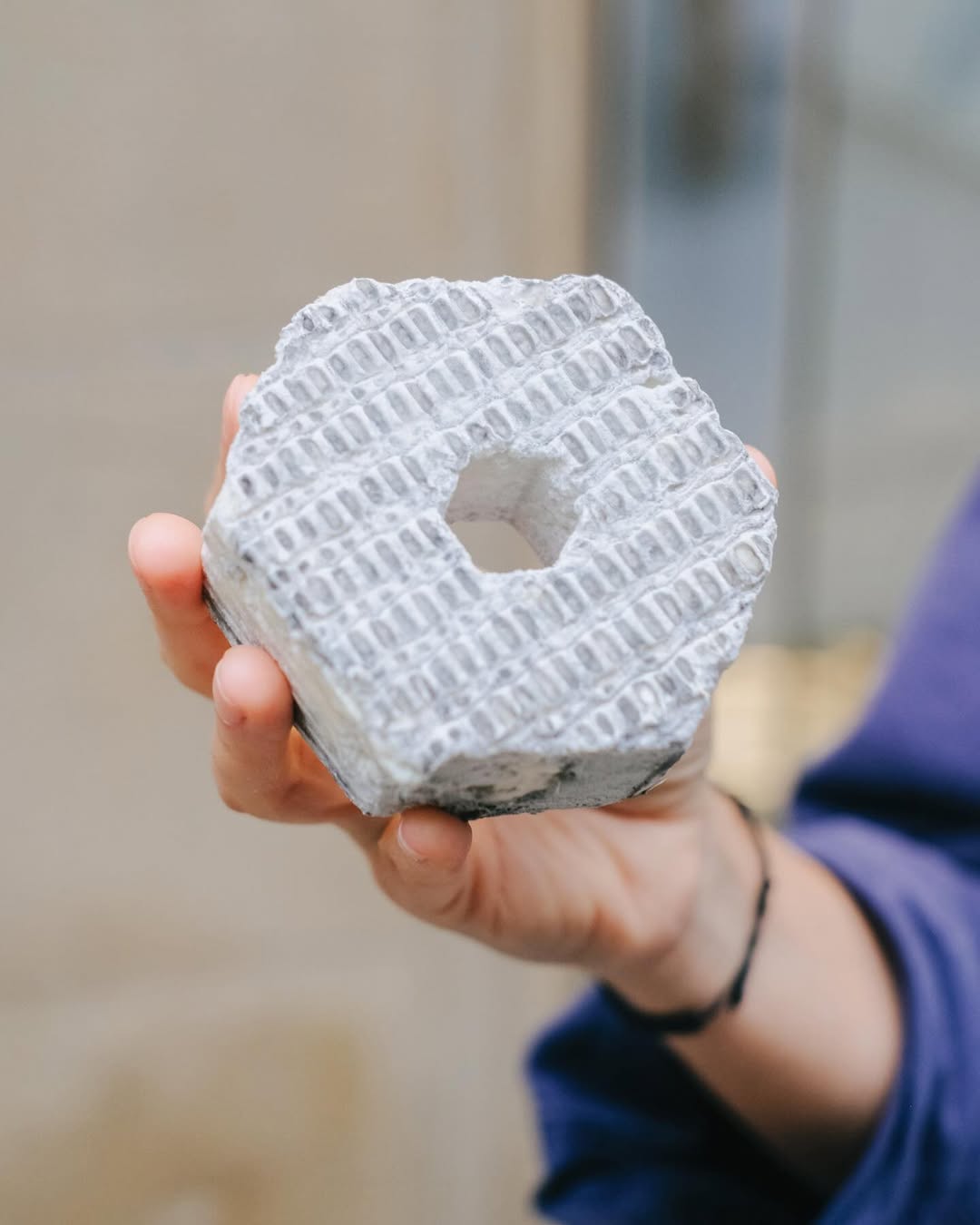 Ecrou du fromager cendré Elkano 1 gaztagune