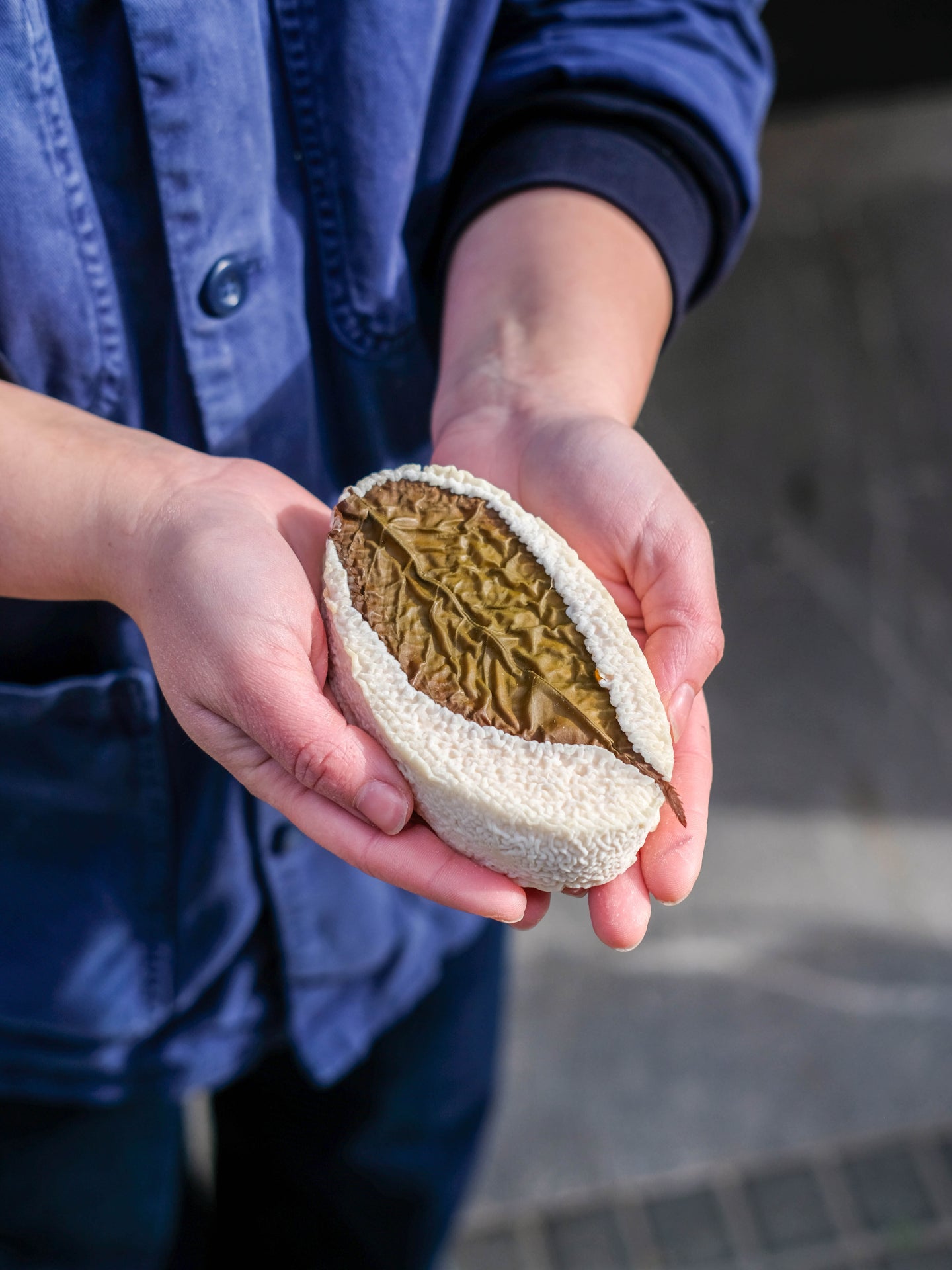 Ové japonais elkano1 gaztagune queso cabra