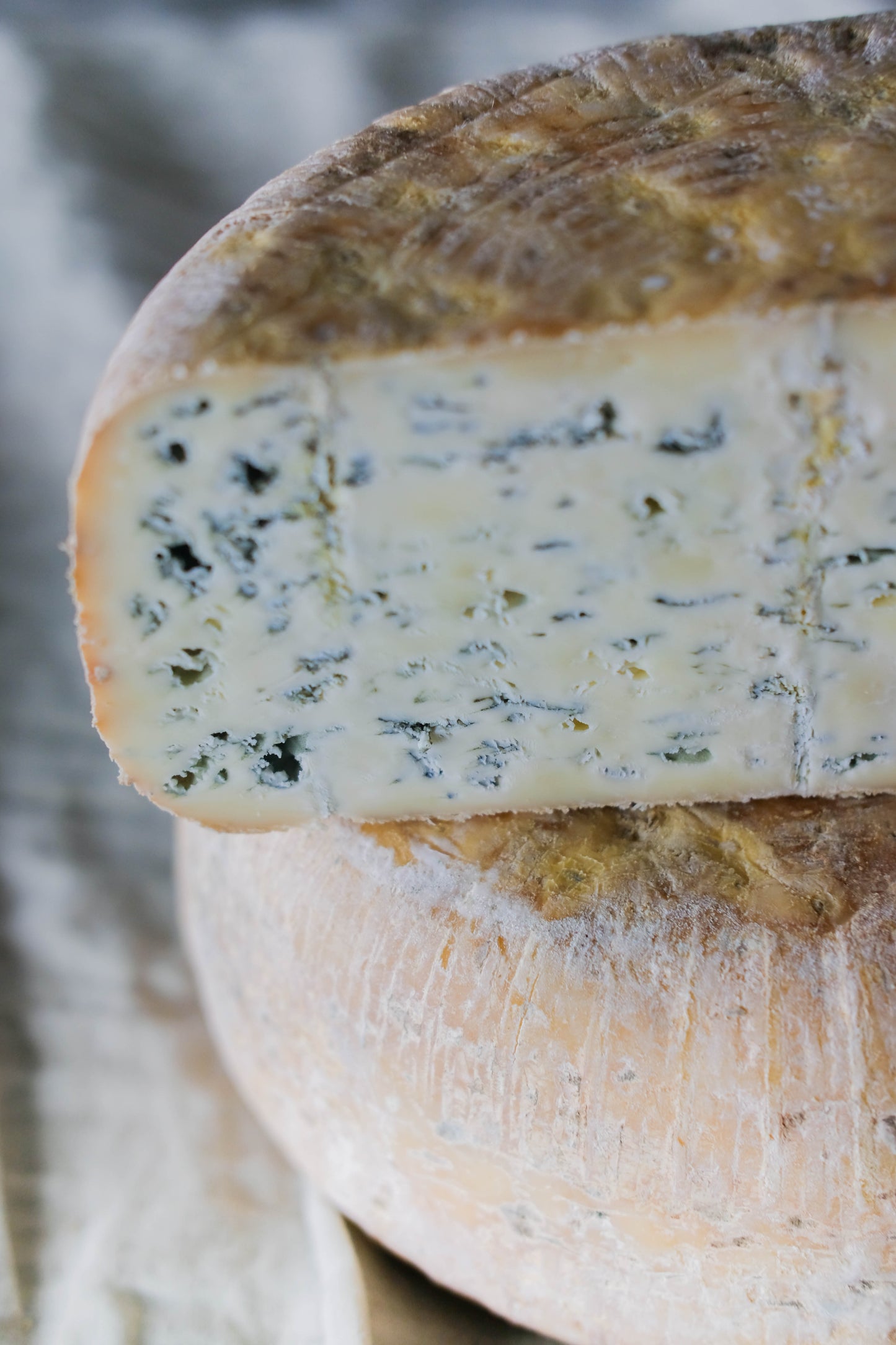 erreka queso azul oveja lekaroz julen arburua 2