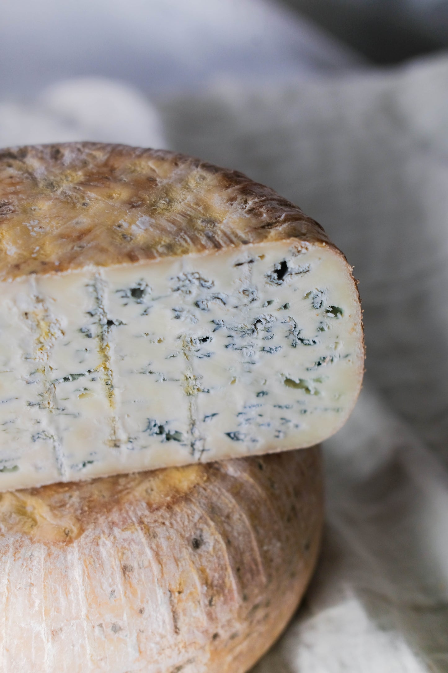 erreka queso azul oveja lekaroz julen arburua 3