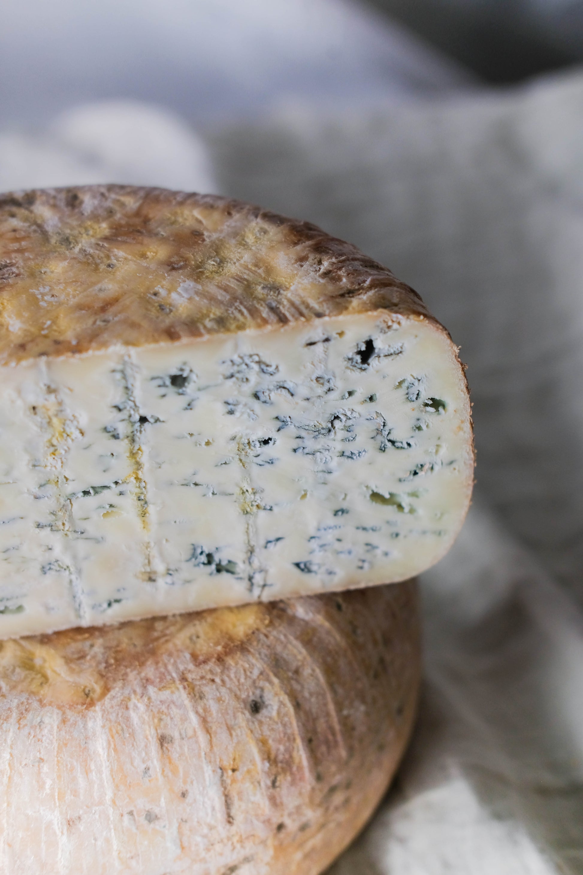 erreka queso azul oveja lekaroz julen arburua 3