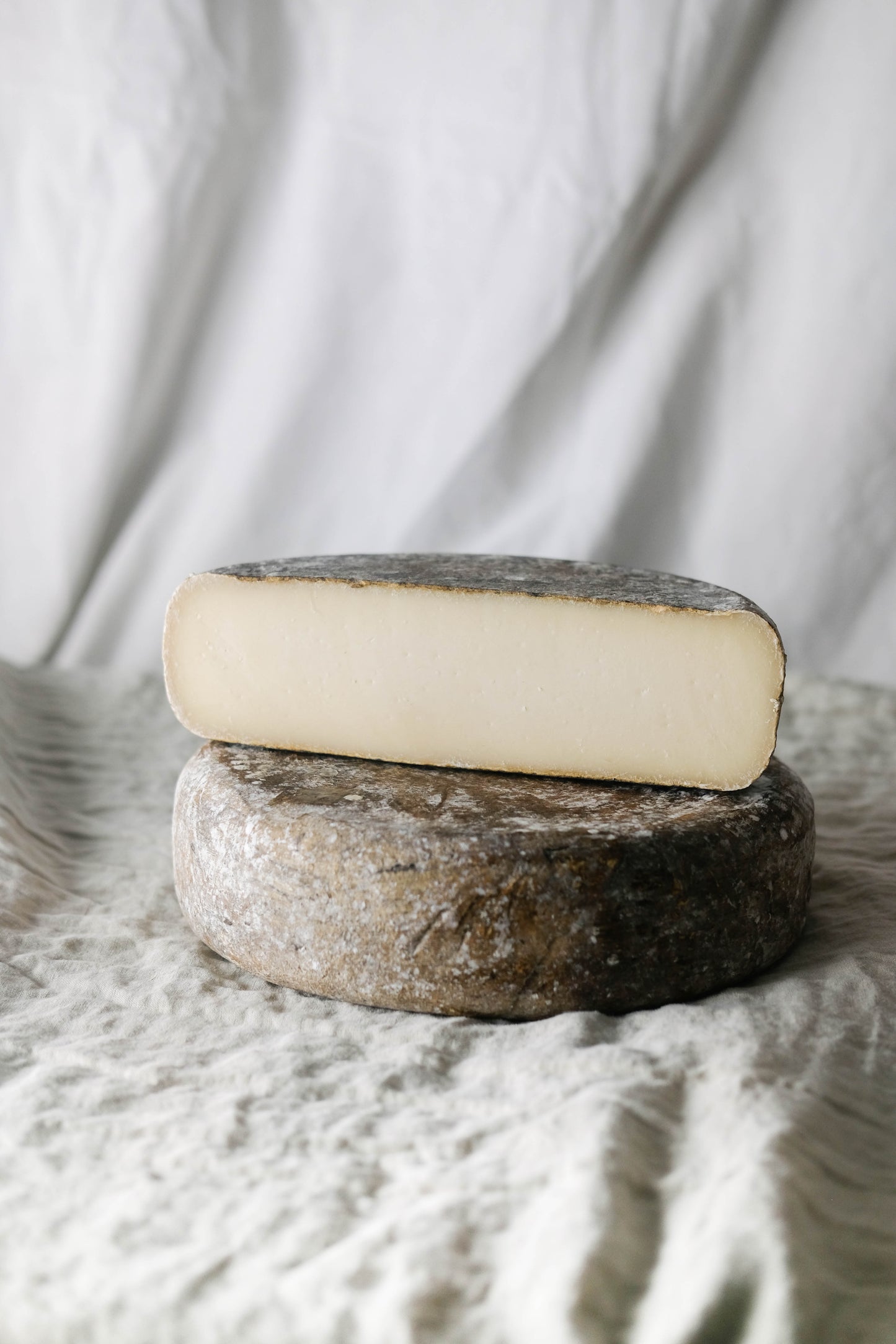 otxokain queso cabra osakain navarra