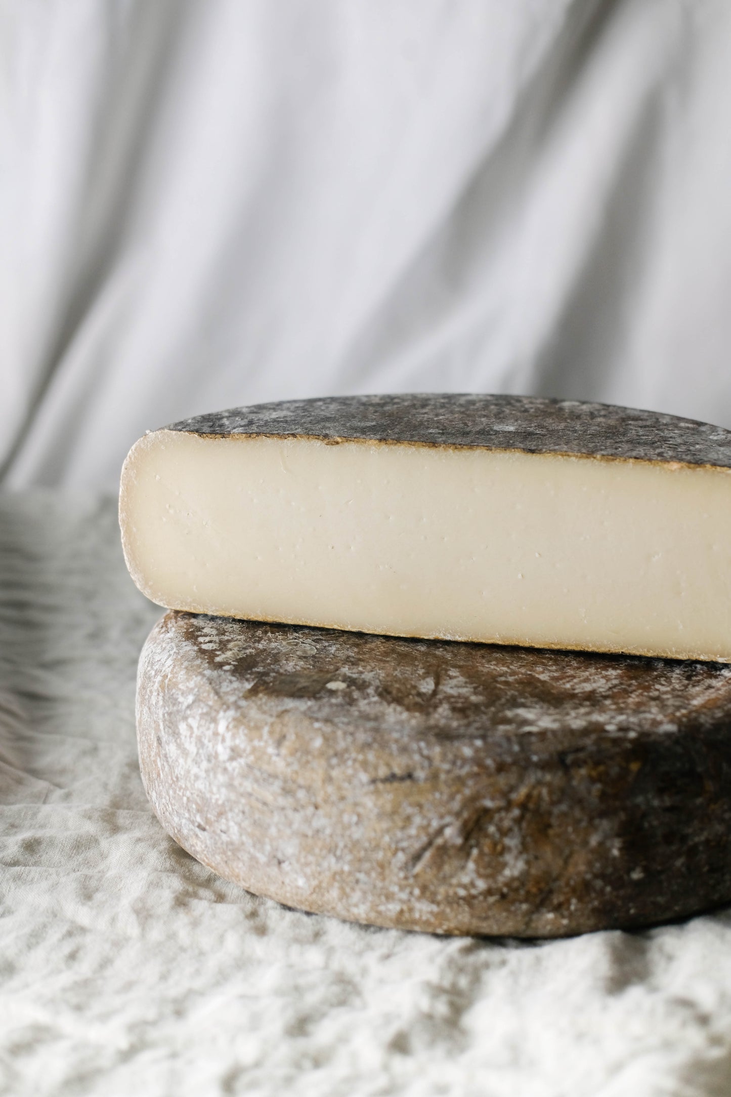 otxokain queso cabra osakain navarra 2