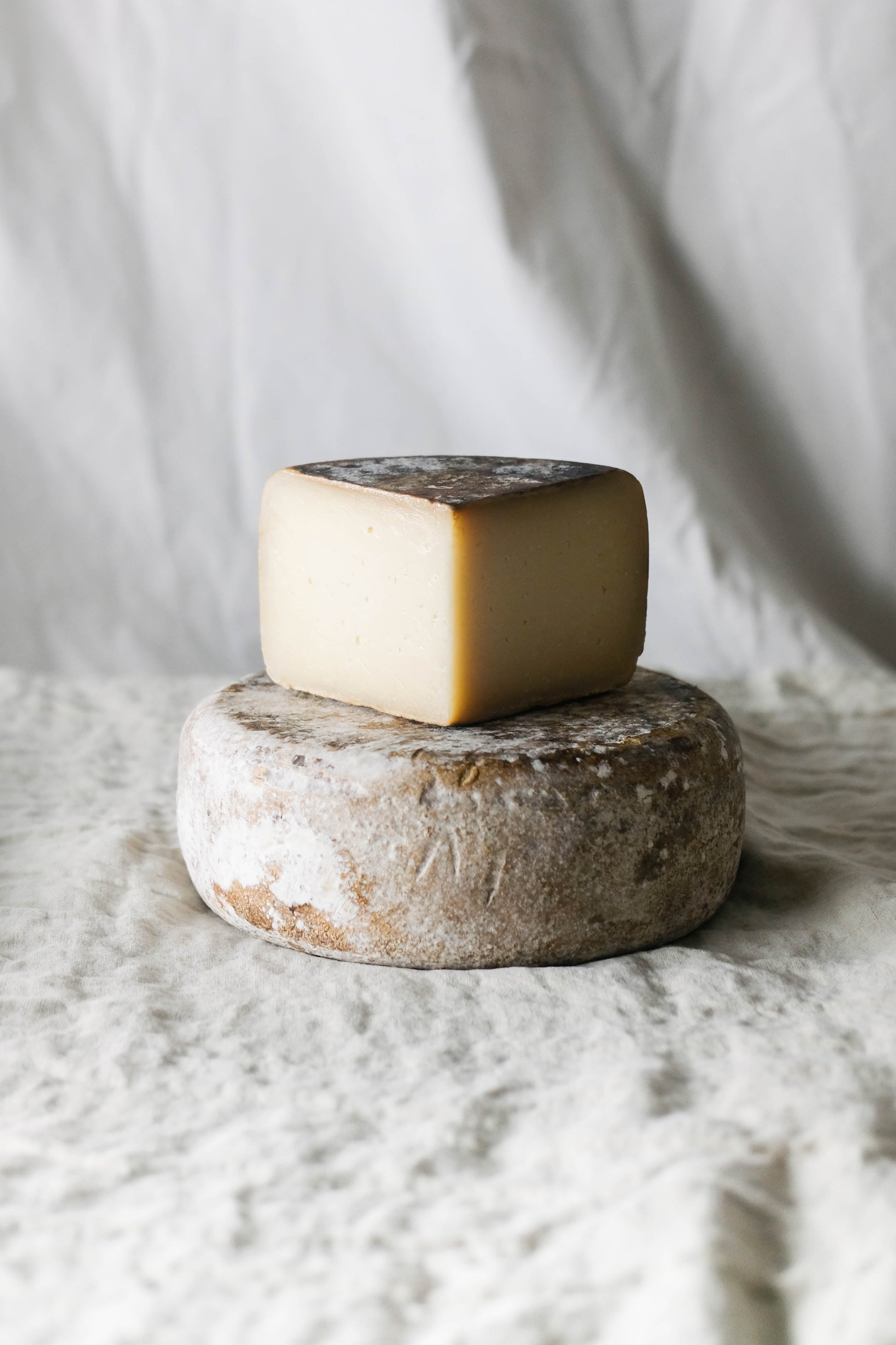 otxokain queso cabra osakain navarra oveja