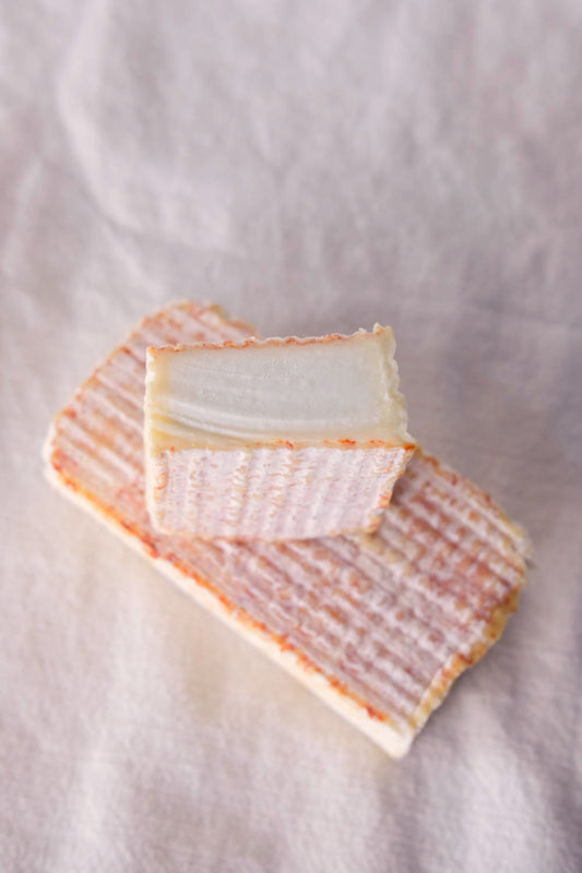 Jondal