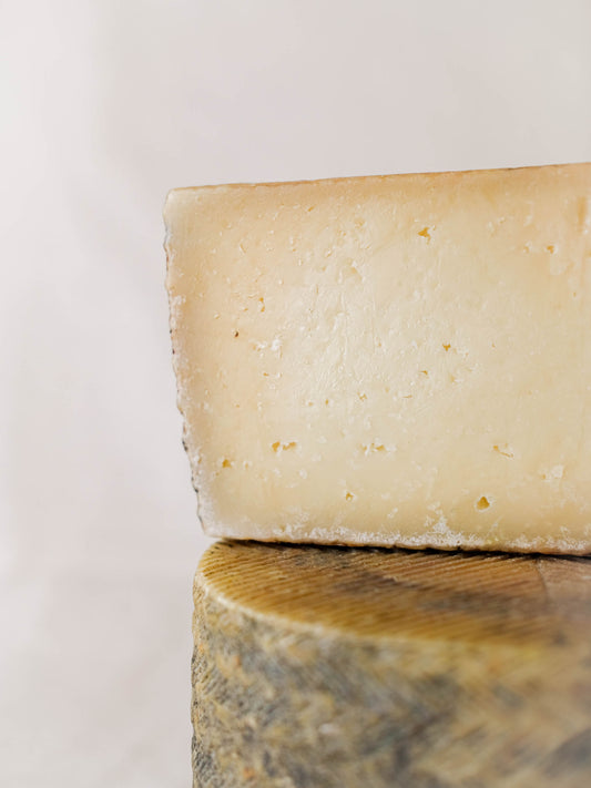 Malacara Viejo Manchego D.O.P.