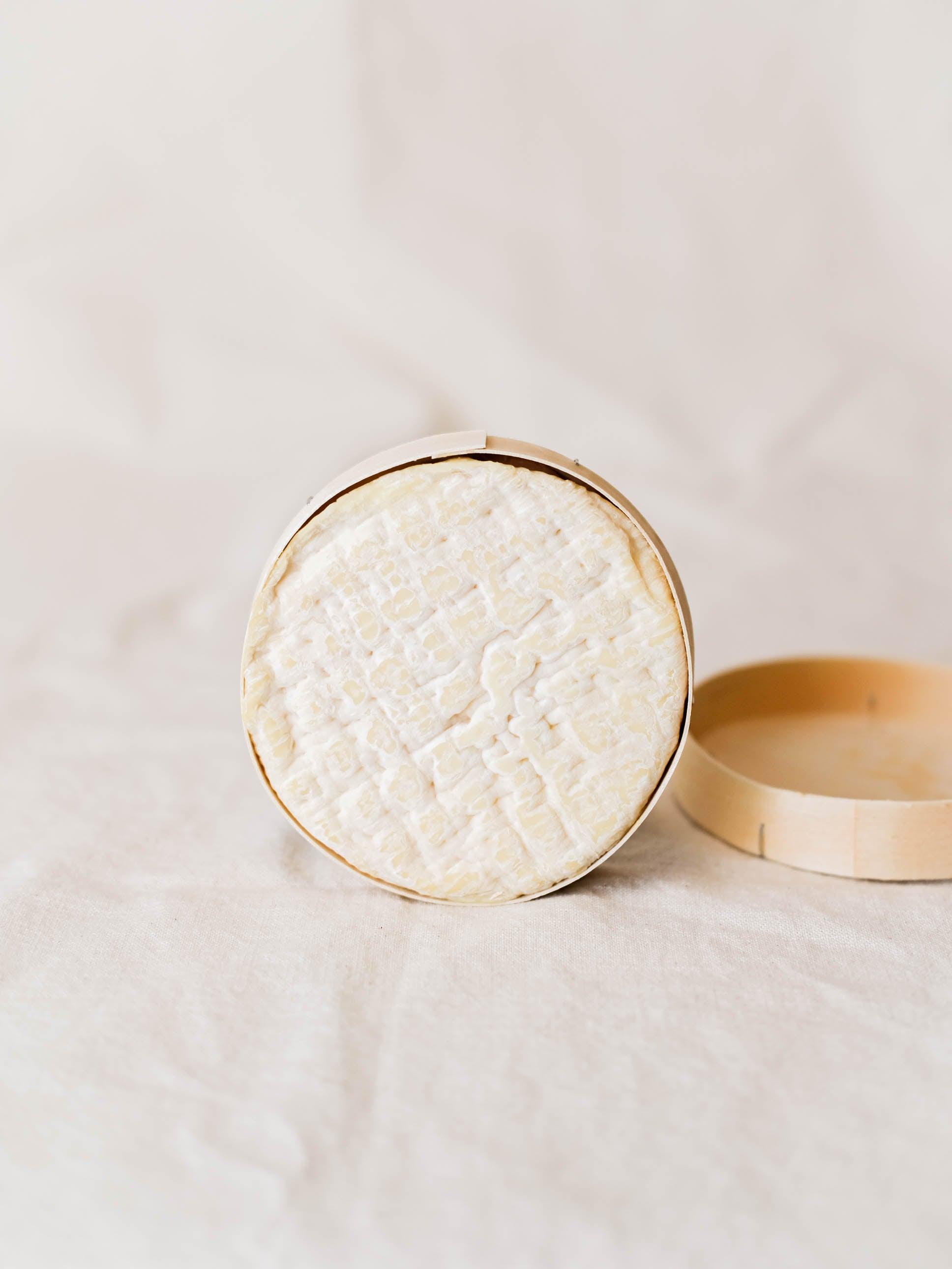 Queso artesano Ondare de oveja latxa cremoso