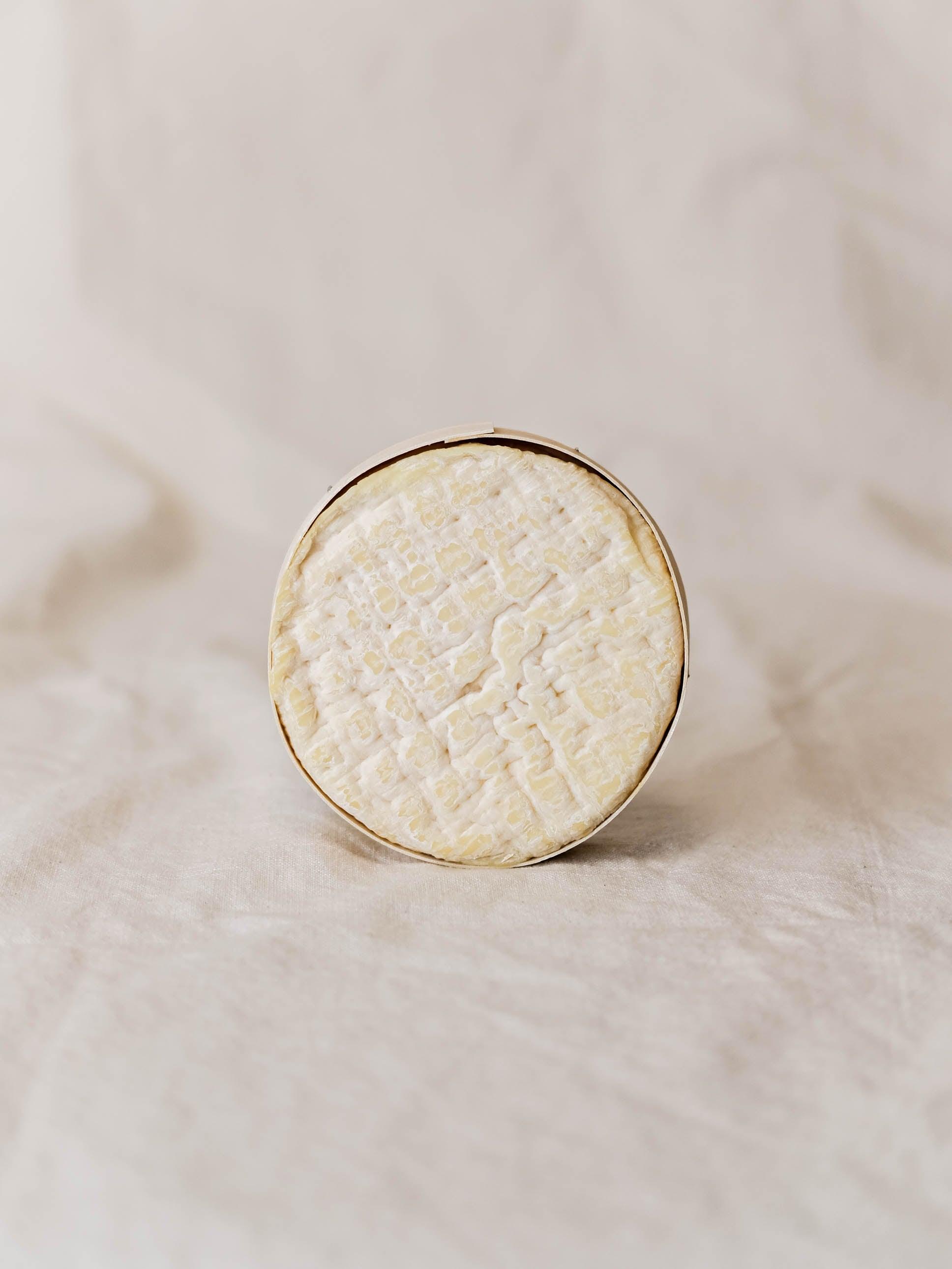 Queso artesano Ondare de oveja latxa cremoso